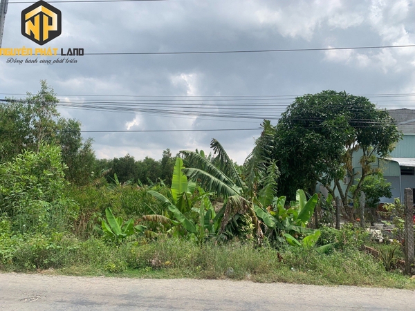 BÁN NỀN ĐẤT TL958 TRI TÔN - GẦN KHO GẠO HẠNH PHÚC [B.ĐTRITON.1]