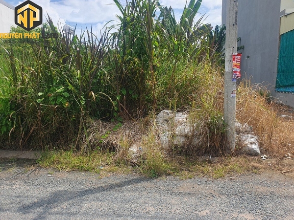 BÁN NỀN ĐƯỜNG SỐ 5 KDC TÂY KHÁNH 8 - MỸ HÒA [B.ĐS5TK8A.1]