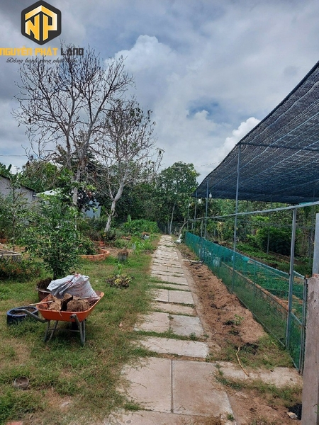 BÁN BIỆT THỰ MINI GIÁ SỐC - PHƯỜNG MỸ HÒA [B.ĐMC.1]