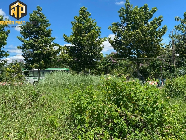 BÁN ĐẤT 1670 M2 TL 943 - VĨNH TRẠCH - HUYỆN THOẠI SƠN [B.TL943TS.1]