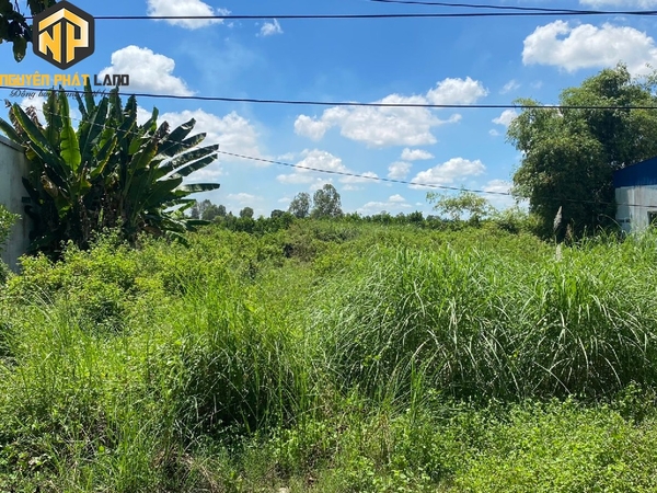 BÁN ĐẤT 1670 M2 TL 943 - VĨNH TRẠCH - HUYỆN THOẠI SƠN [B.TL943TS.1]