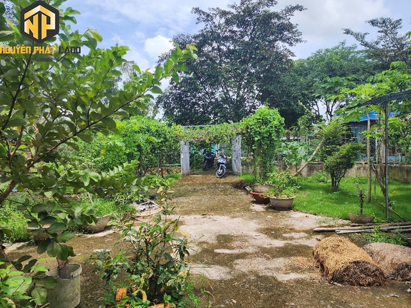 BÁN MIẾN ĐẤT ĐƯỜNG OTO MỸ HÒA - GIÁ CỰC TỐT [B.ĐMC.2]