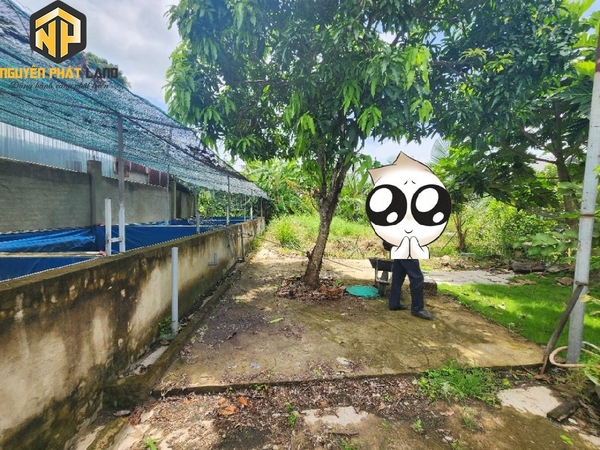 BÁN MIẾN ĐẤT ĐƯỜNG OTO MỸ HÒA - GIÁ CỰC TỐT [B.ĐMC.2]