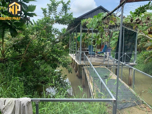 BÁN MIẾN ĐẤT ĐƯỜNG OTO MỸ HÒA - GIÁ CỰC TỐT [B.ĐMC.2]