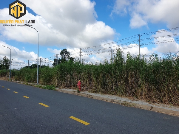 Bán cặp nền có sổ đỏ KDC Làng giáo viên Mở rộng 1, Mỹ Hòa [B.ĐD1LGV1.3]