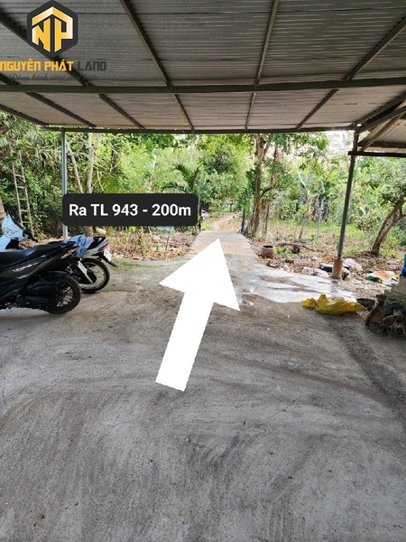 BÁN ĐẤT CÁCH TL 943 KHOẢNG 200M - PHƯỜNG MỸ HÒA [B.ĐMC.3]