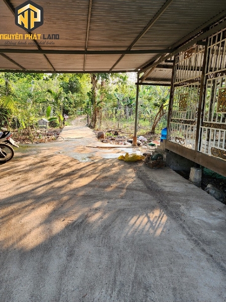 BÁN ĐẤT CÁCH TL 943 KHOẢNG 200M - PHƯỜNG MỸ HÒA [B.ĐMC.3]