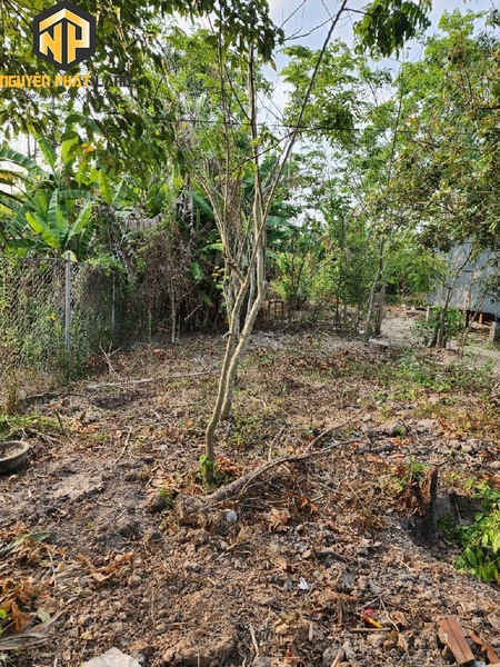 BÁN ĐẤT CÁCH TL 943 KHOẢNG 200M - PHƯỜNG MỸ HÒA [B.ĐMC.3]