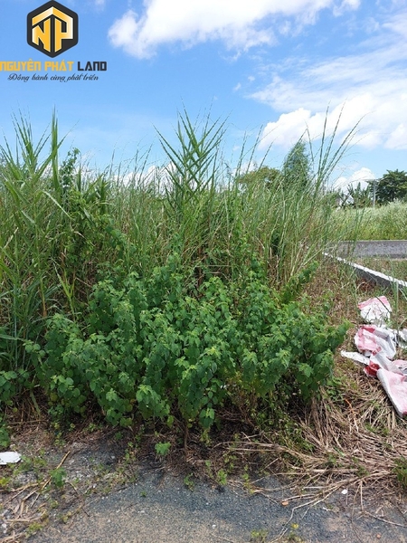 Bán nền Đường Số 4 KDC Nam Tầm Bót, Mỹ Phước [B.ĐS4NTB.1]