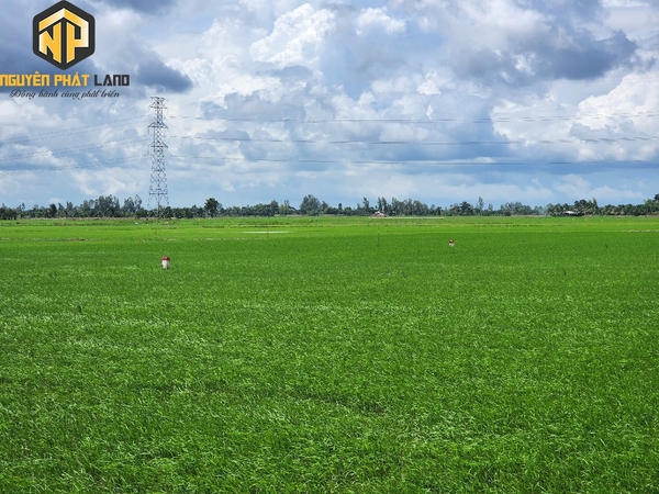 Bán 5 công đất - khu sinh thái Phú Hoà [B.ĐTHOAISON.2]