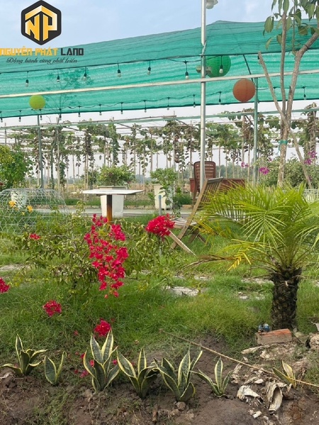 Bán 5 công đất - khu sinh thái Phú Hoà [B.ĐTHOAISON.2]