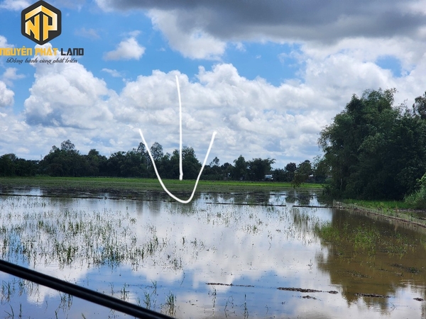 Bán 2067m2 đất nằm trong quy hoạch khu đô thị Tây Nam [B.ĐCKĐ.2]