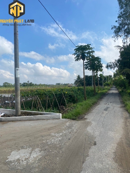 Bán 5 công đất đã lên vườn đường oto Phú Hòa, Thoại Sơn [B.TL943TS.3]