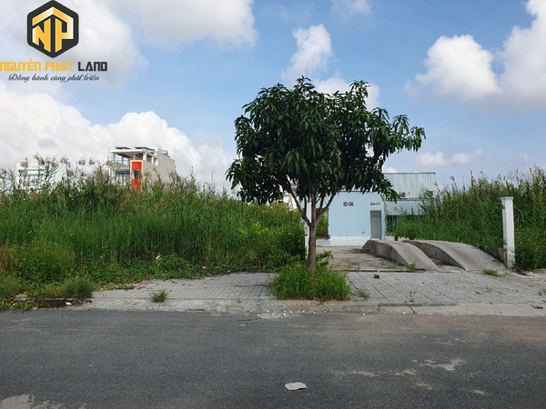Cho thuê 450m2 Mặt bằng hoặc Nhà cấp 4 đường Nguyễn Thái Học Golden [T.NTH.9]