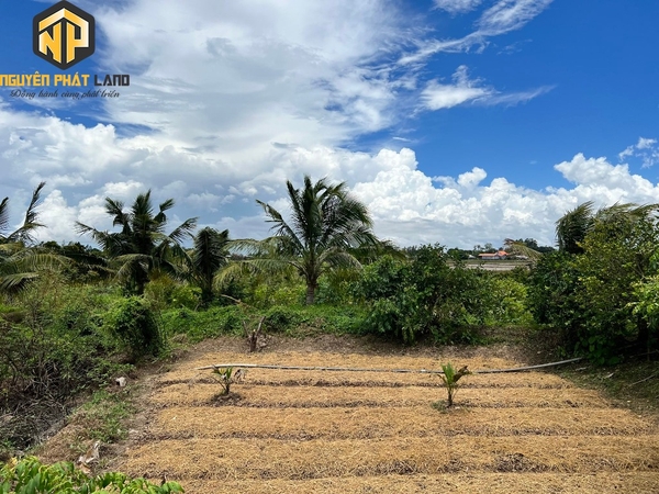 SIÊU DỰ ÁN ĐẤT MẶT TIỀN KÊNH NHÀ THÁNH - AN CHÂU [B.ĐCHAUTHANH.2]