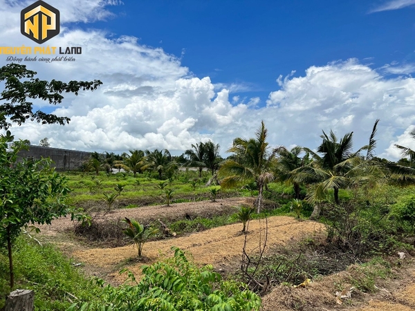 SIÊU DỰ ÁN ĐẤT MẶT TIỀN KÊNH NHÀ THÁNH - AN CHÂU [B.ĐCHAUTHANH.2]