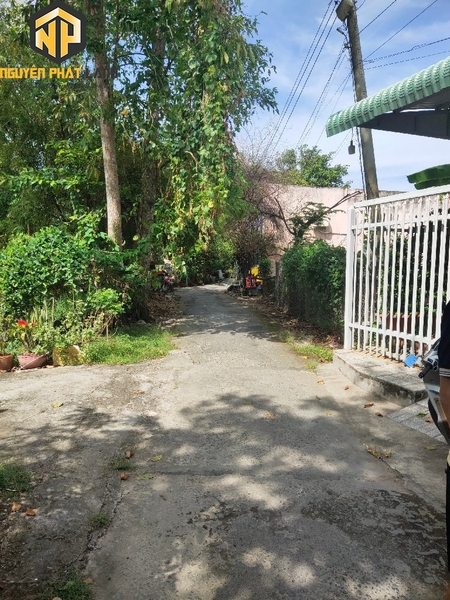 BÁN NỀN ĐƯỜNG THÔNG LƯU - TỔNG HỢI, BÌNH KHÁNH [B.ĐTLTH.2]