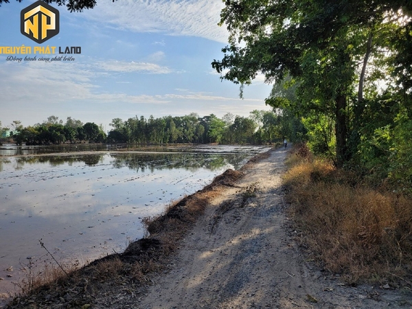 Bán Đất Ruộng Mỹ Hòa gần Tây Đại học, cách Đường Tránh 100m [B.ĐCRBT.2]