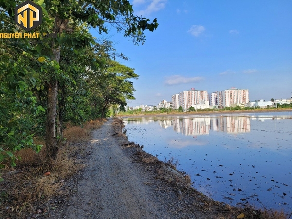 Bán Đất Ruộng Mỹ Hòa gần Tây Đại học, cách Đường Tránh 100m [B.ĐCRBT.2]