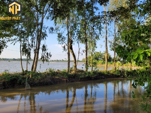 Bán Đất Ruộng Mỹ Hòa gần Tây Đại học, cách Đường Tránh 100m [B.ĐCRBT.2]