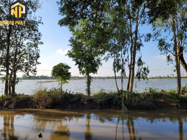 Bán Đất Ruộng Mỹ Hòa gần Tây Đại học, cách Đường Tránh 100m [B.ĐCRBT.2]