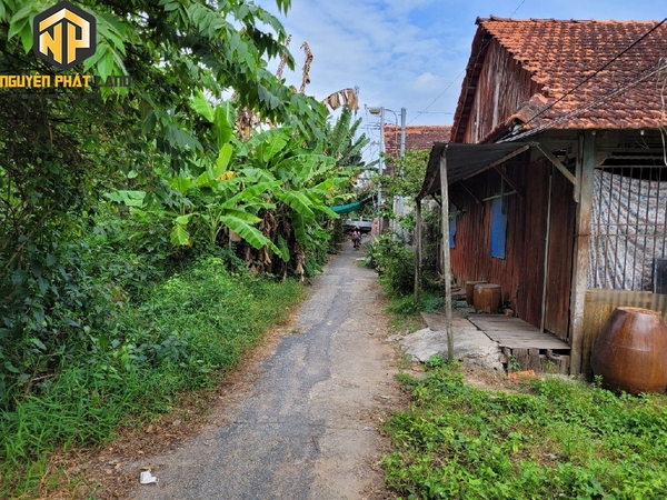 BÁN ĐẤT NỀN THỔ VƯỜN ĐƯỜNG THÔNG LƯU - BÌNH KHÁNH [B.ĐTLTH.3]