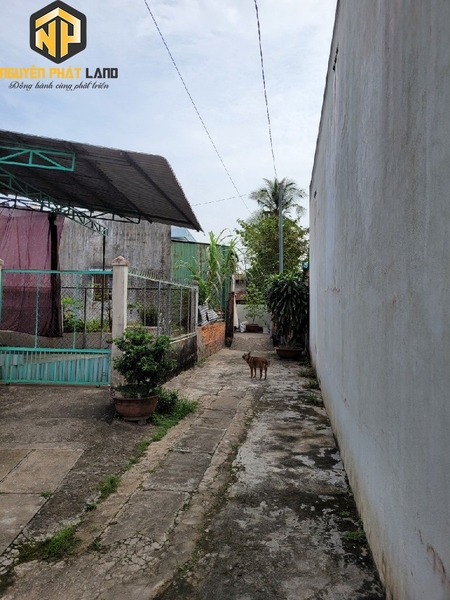 Bán nền nhánh Trần Hưng Đạo phía sau nhà máy nước Bình Đức [B.THĐ.11]