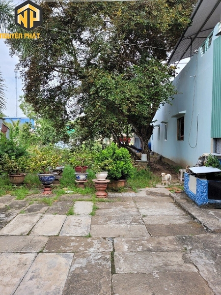 Bán nền nhánh Trần Hưng Đạo phía sau nhà máy nước Bình Đức [B.THĐ.11]