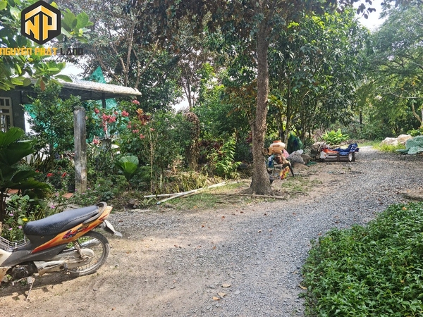 Bán Hơn 4 Công Đất Lúa Đường Mương Bà Hai, Mỹ Hòa [ B.ĐMBH.1]