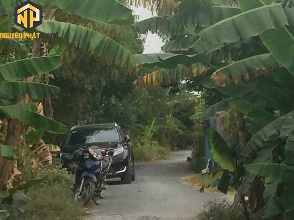 BÁN ĐẤT GẦN SÂN VẬN ĐỘNG - TÂY KHÁNH 6, PHƯỜNG MỸ HOÀ [B.ĐCRBT.3]