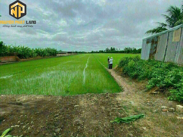 BÁN ĐẤT GẦN SÂN VẬN ĐỘNG - TÂY KHÁNH 6, PHƯỜNG MỸ HOÀ [B.ĐCRBT.3]