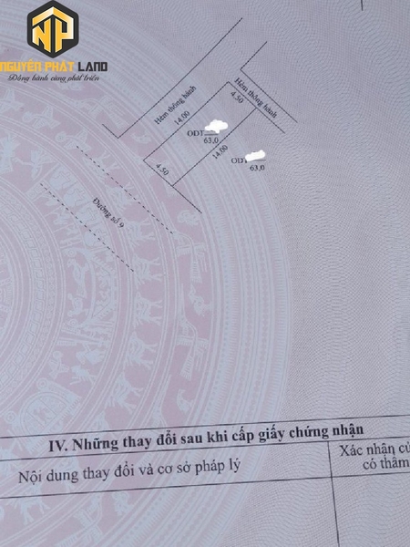 Bán Nền Đẹp Hiếm - Kế Góc Lý Thái Tổ nối dài [B.ĐS9TĐH2.1]