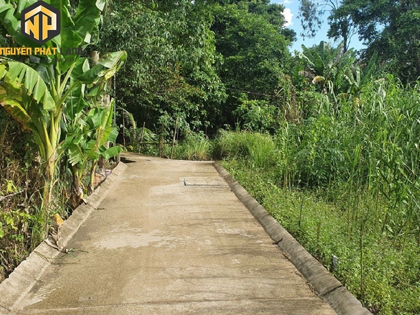Bán 2 Nền KDC Hẻm Tường Vi, Mỹ Hòa  [B.ĐKHTV.2]