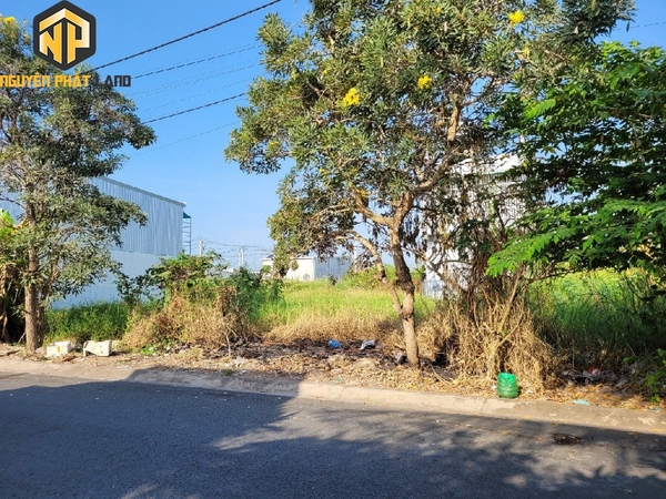 Bán Nền khu Chợ Cái Sắn, Mỹ Thạnh [B.KCCSAN.6]