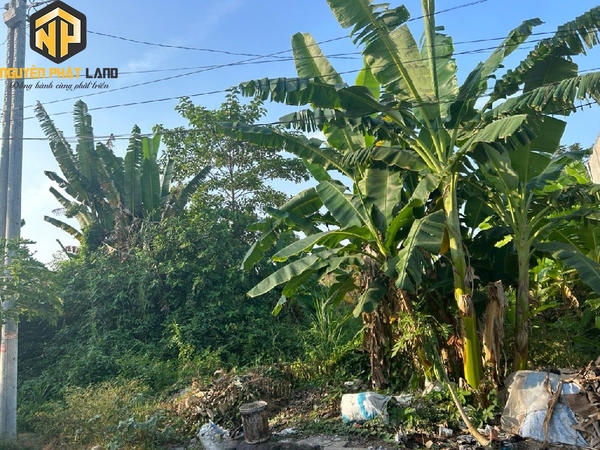 Bán Nền Đường số 6 Thị trấn Phú Hòa, Thoại Sơn [B.ĐTHOAISON.4]