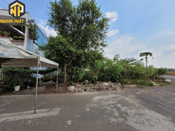 Bán Nền Đường Số 6 Tây Đại Học , Mỹ Phước [B.ĐS6TĐH.1]