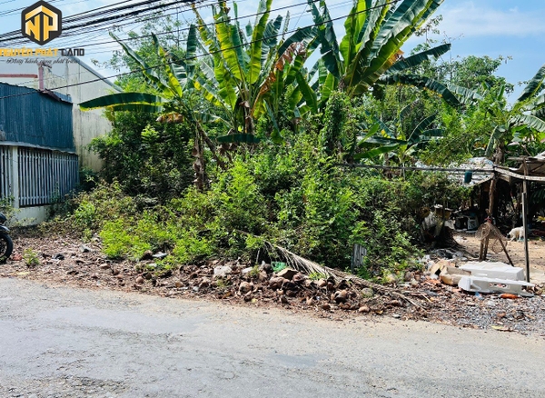 BÁN ĐẤT ĐƯỜNG THỎ ĐẾ - BÌNH ĐỨC