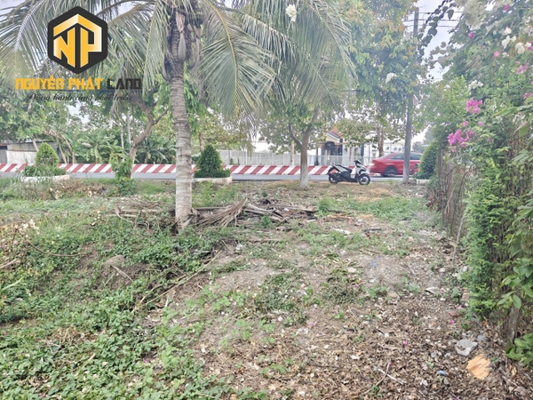 BÁN ĐẤT 783M2 - MT TL 943 [B.TL943TS.8]