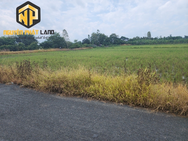 BÁN ĐẤT MẶT TIỀN LỘ NHỰA - TÂY AN BỜ HỒ - ĐỨC THÀNH [B.ĐTABH.9]