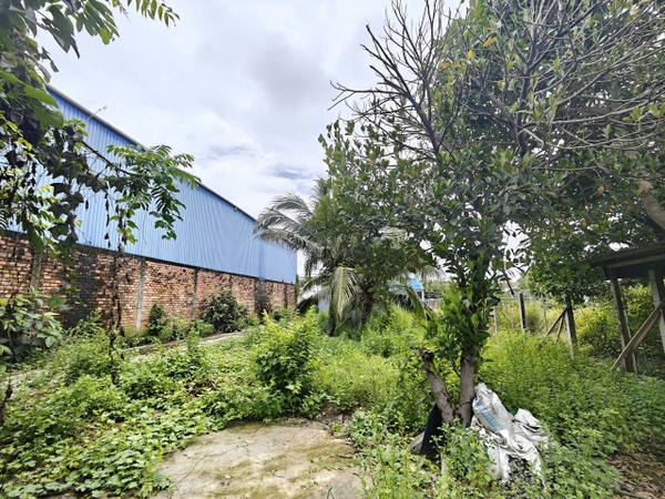 BÁN ĐẤT 532M2 - ĐẤT XÂY NHÀ HOẶC NGHỈ DƯỠNG [B.THĐ.37]