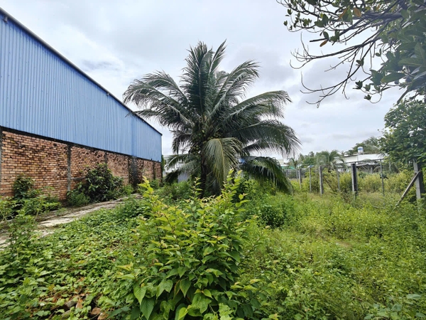 BÁN ĐẤT 532M2 - ĐẤT XÂY NHÀ HOẶC NGHỈ DƯỠNG [B.THĐ.37]