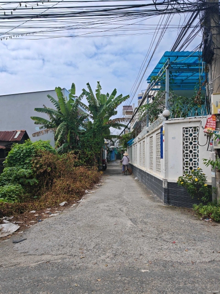 🔰 Bán Nền Rộng 146m² Mặt Tiền Thông Lưu, Bình Khánh - Giá Mềm!