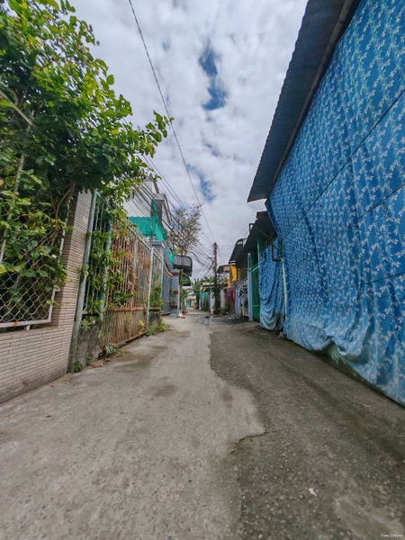 🔰 Bán Nền Rộng 146m² Mặt Tiền Thông Lưu, Bình Khánh - Giá Mềm!