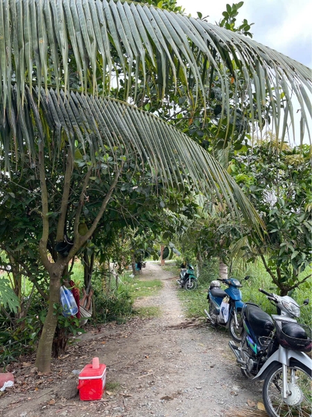 🔰 Bán hơn 4 Công Đất  Rạch Bờ Ao - Phú Thuận, Thoại Sơn - View Kênh!