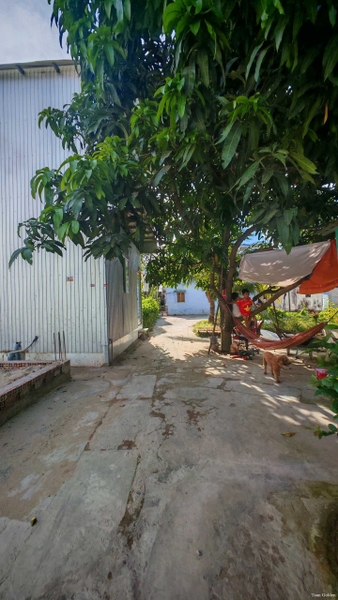 🔰 Bán Nền Nhánh Cái Sao, Mỹ Thới - Giá Chỉ 3xx Triệu!