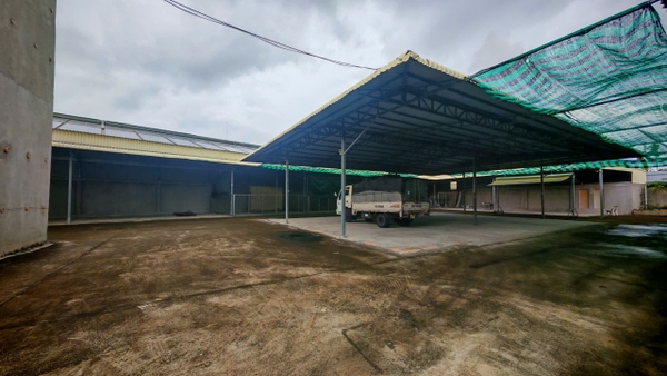 🏠 CHO THUÊ KHO RỘNG 800m² MẶT TIỀN ĐOÀN THỊ ĐIỂM, MỸ QUÝ - Lộ Container!