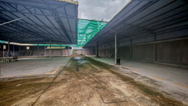 🏠 CHO THUÊ KHO RỘNG 800m² MẶT TIỀN ĐOÀN THỊ ĐIỂM, MỸ QUÝ - Lộ Container!