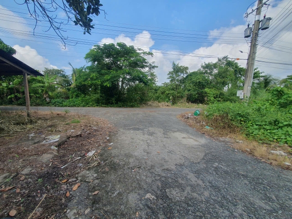 🔰 Bán Nền Đất 85m² Đường Số 7 KDC Ba Khuỳnh, Mỹ Thạnh