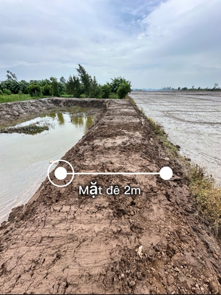 🔰 Bán Đất Đất Ruộng Tây An Bờ Hồ, Mỹ Thới - Giá Tốt!