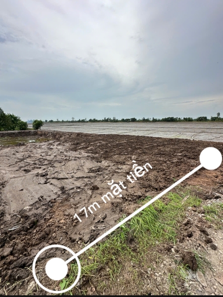 🔰 Bán Đất Đất Ruộng Tây An Bờ Hồ, Mỹ Thới - Giá Tốt!